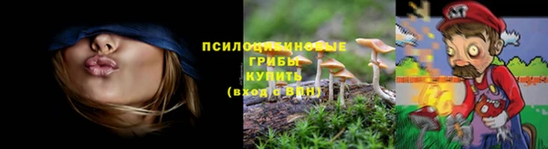 спиды Арсеньев