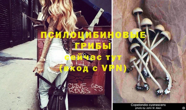 кокаин Армянск
