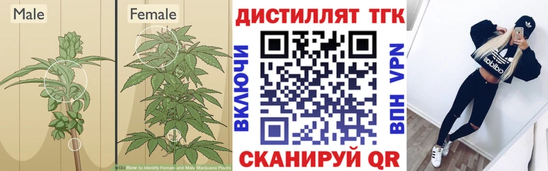 ТГК THC oil Колпашево
