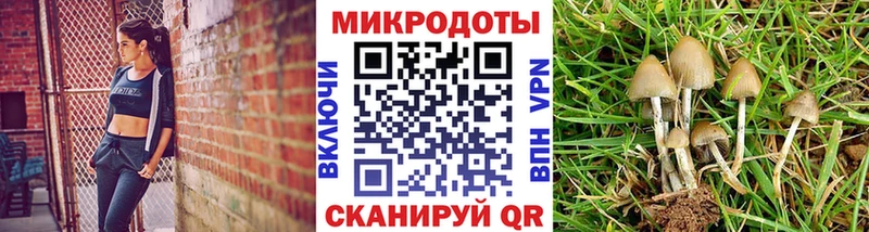 ссылка на мегу зеркало  Колпашево  Галлюциногенные грибы мухоморы 